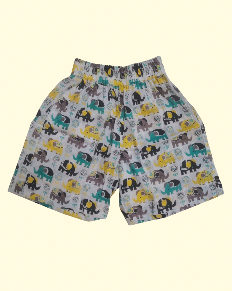 Shorts of Aruvo premium Elephant printed co-ord set