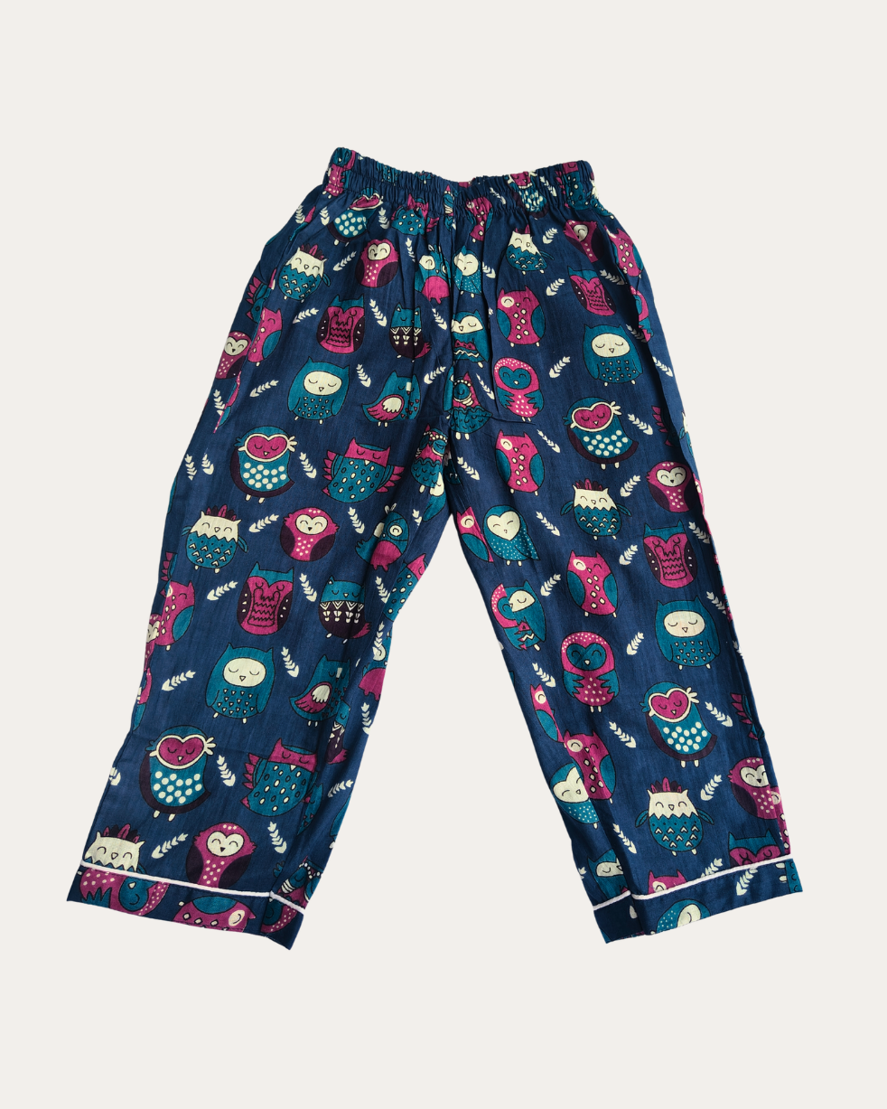 SnugBug Full Sleeve Blue Color Soft Pure Cotton Night Suit Set in beautiful owl print